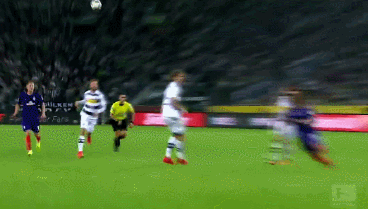 新鲜血液 新鲜血液